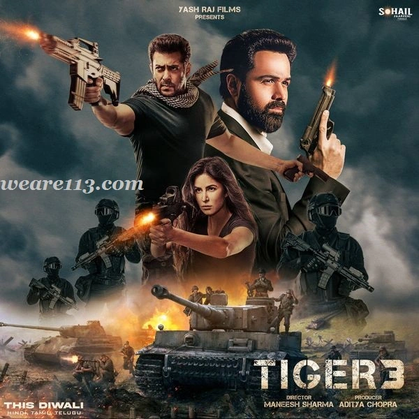 Tiger 3 Movie Review